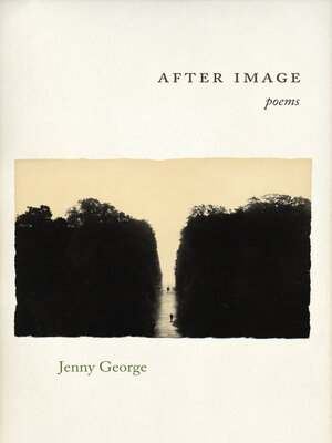 After Image - ebook